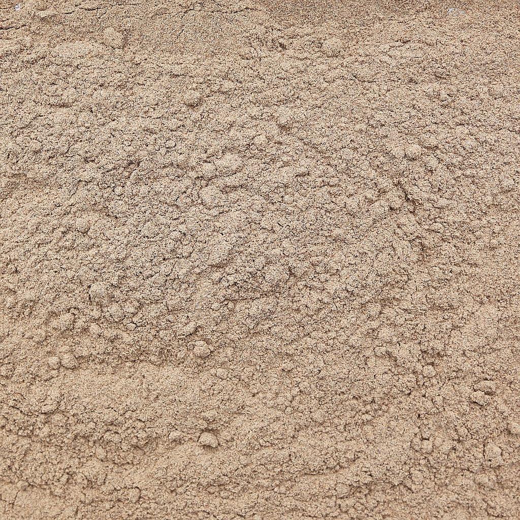 Cardamome (Moulu) - Savcorp - Herbes et Épices