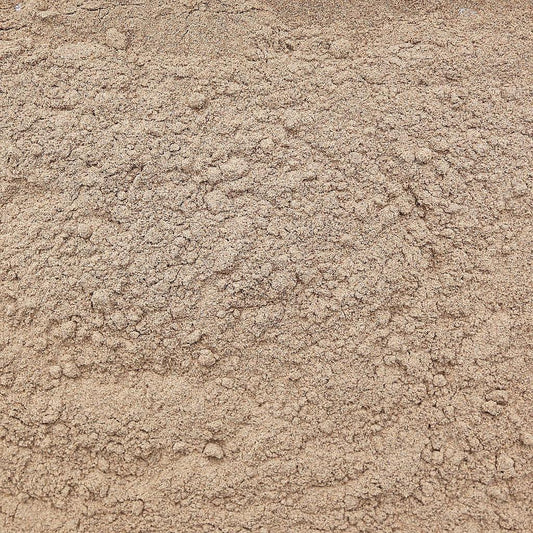 Cardamome (Moulu) - Savcorp - Herbes et Épices