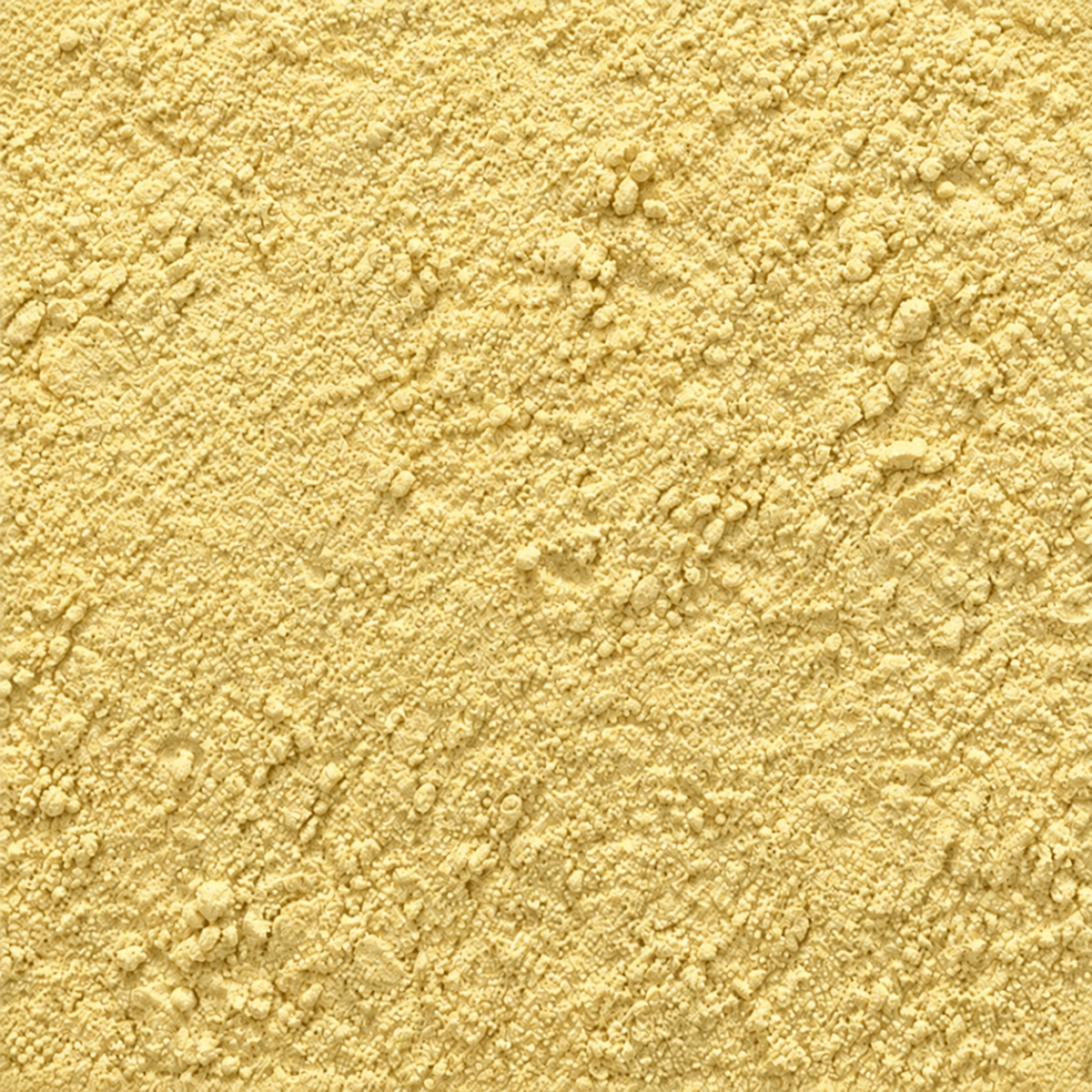 Levure nutritionelle - Moulue - Savcorp - Herbes et Épices