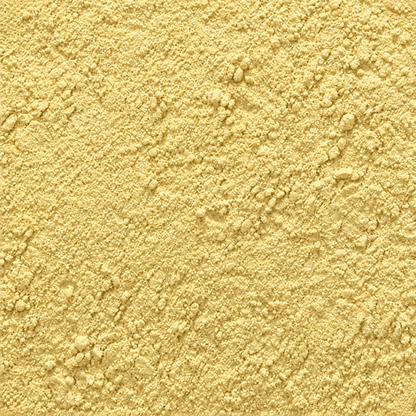 Levure nutritionelle - Moulue - Savcorp - Herbes et Épices
