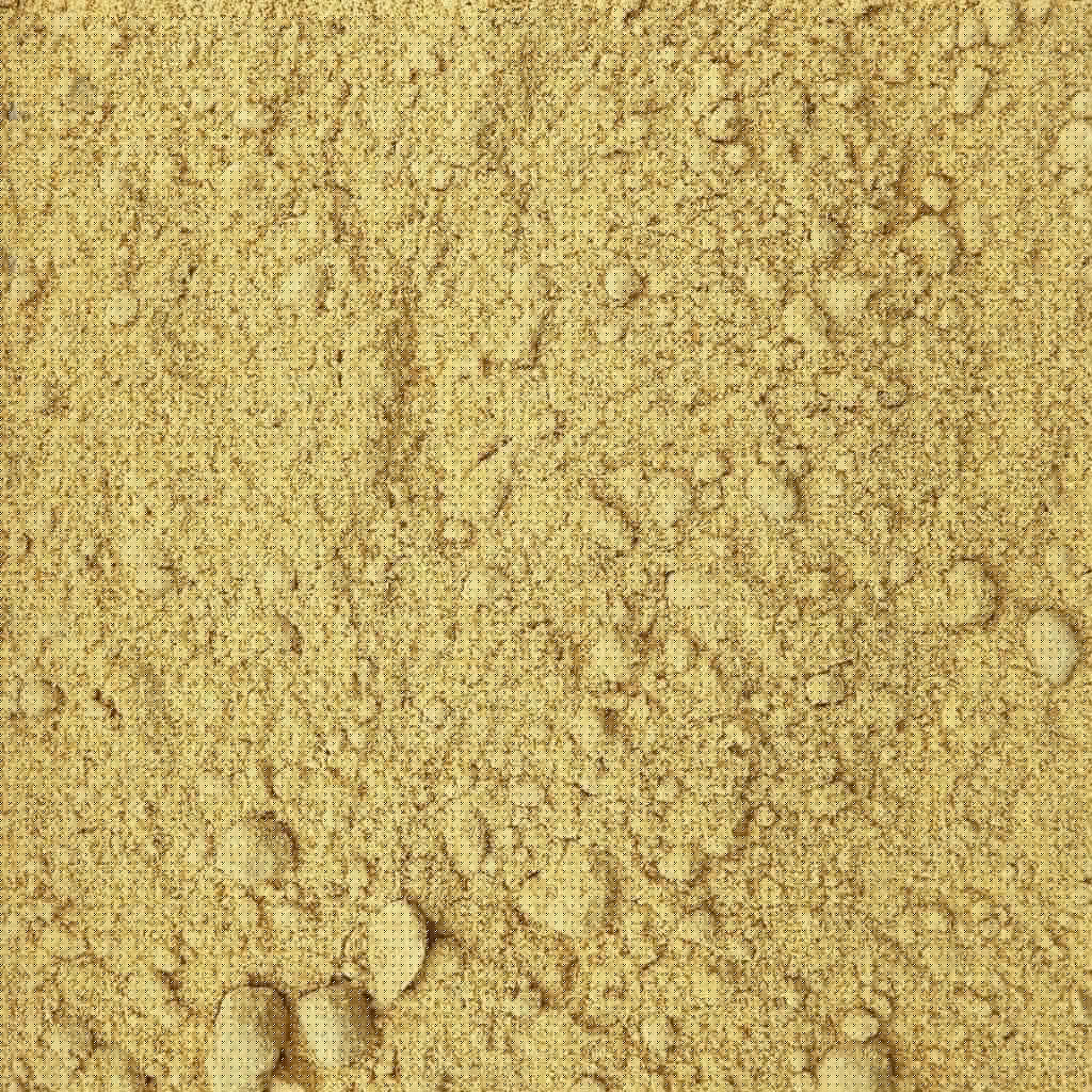 Moutarde jaune moulue - Savcorp - Herbes et Épices