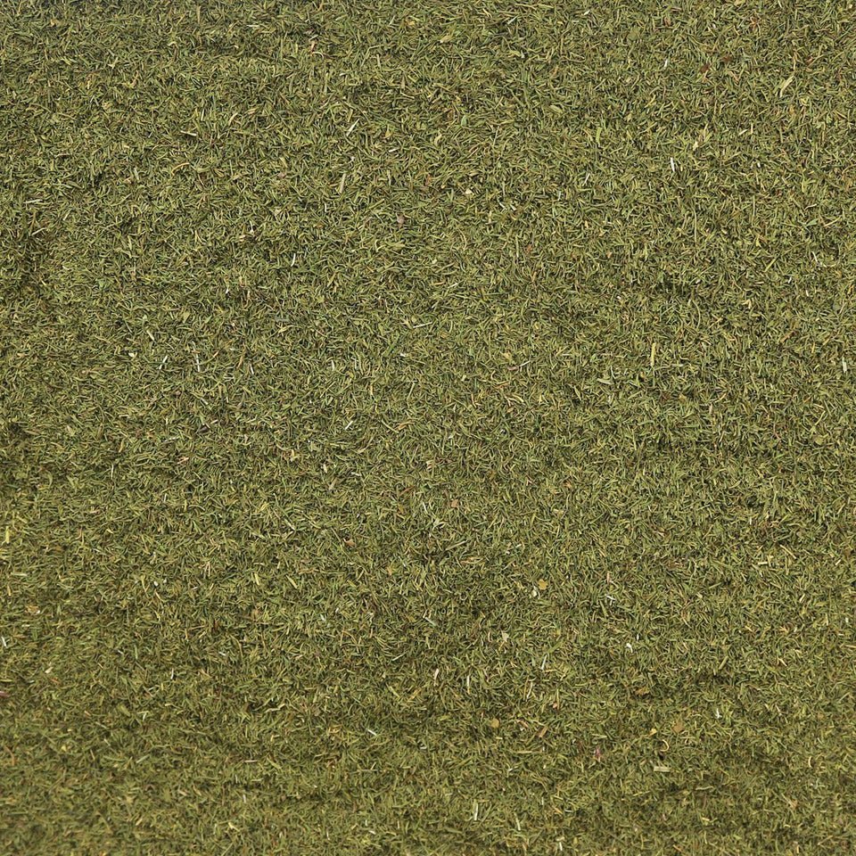 Ombelle d'aneth - Savcorp - Herbes et Épices