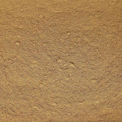 Gingembre (Moulu) - Savcorp - Herbes et Épices
